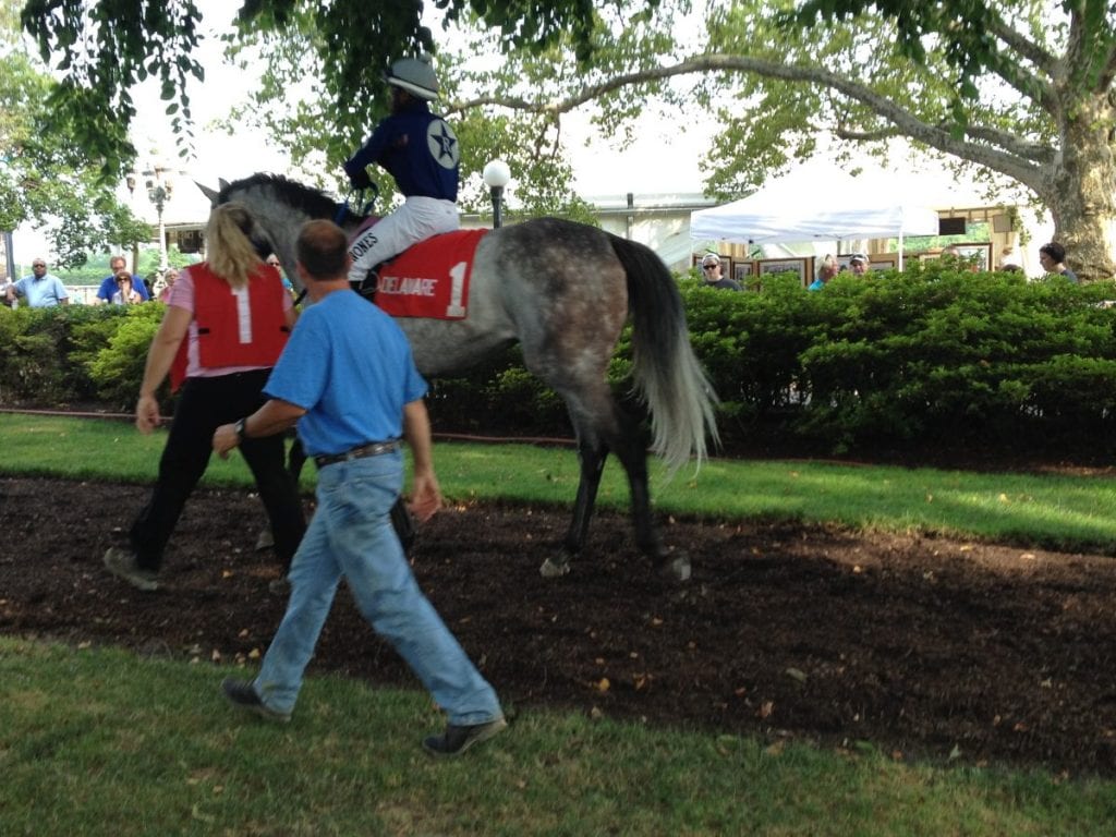 Delaware Park