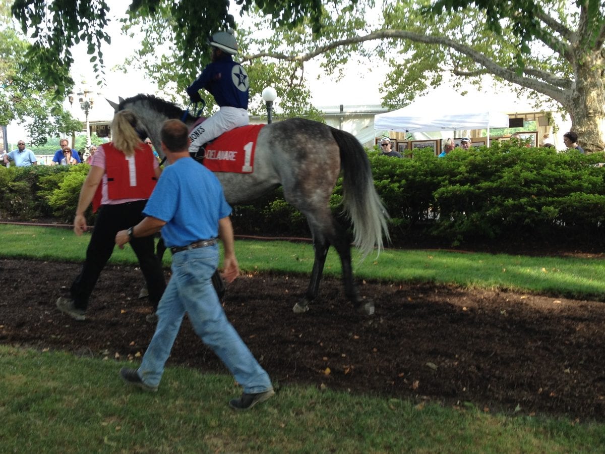 Delaware Park