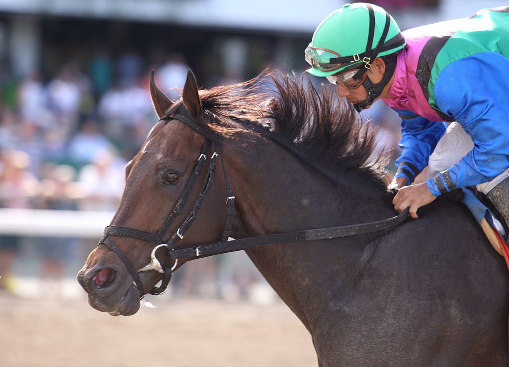 Lopez and Itsmyluckyday take the G3 Salvator Mile at Monmouth.  Photo By Bill Denver/EQUI-PHOTO. 