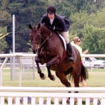 Timonium condition book released