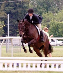 Defending champ Houston. Photo courtesy of the Maryland Jockey Club.