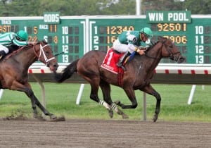 Prudhoe Bay takes the Grade 3 Jersey Shore. Photo By Ryan Denver/EQUI-PHOTO