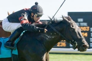 Alex Cintron wins aboard Avilord. Photo by www.HoofprintsInc.com