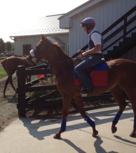 All in a day's work for Main Sequence. Photo Doug McCoy.