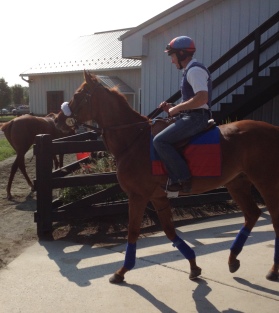 mainsequence