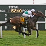 Mark Reid to train string at Delaware Park