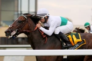 Appealing Cat, with Eriluis Vaz up, wins the Mrs. Penny Stakes at Parx Racing. Photo by Ryan Denver / EQUI-PHOTO