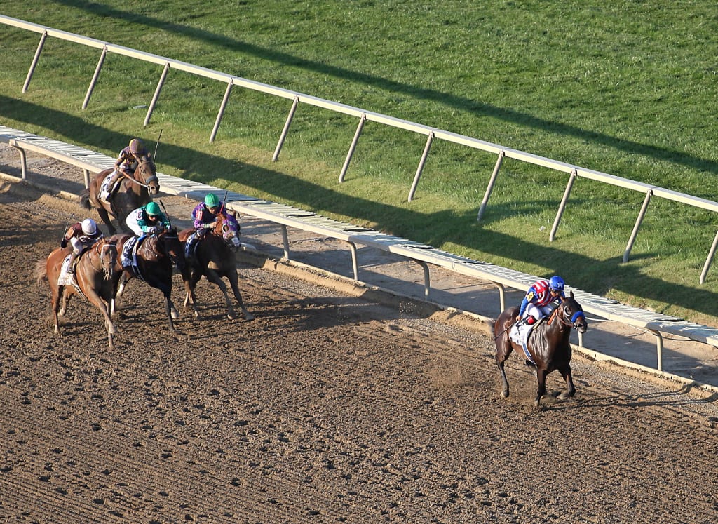 Bayern leads them home in the Pennsylvania Derby.  Photo By  Mark Wyville/ EQUI-PHOTO