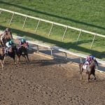 For Bill Reightler, it starts with a “marketable horse”