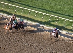 Bayern leads them home in the Pennsylvania Derby.  Photo By  Mark Wyville/ EQUI-PHOTO