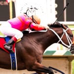 Legendary notches first stake win for Niall Saville