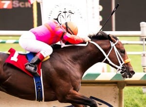 Bern Identity blazes to victory in the Dave's Friend. Photo by Jim McCue, Maryland Jockey Club.