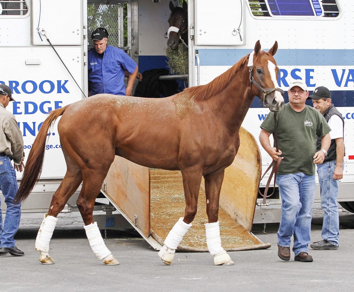 California Chrome, home