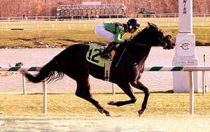 Drunken Love. Photo by Jim McCue, Maryland Jockey Club.