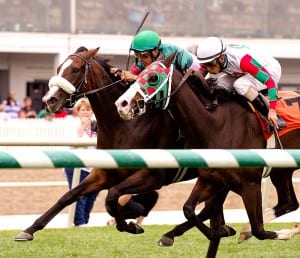 Madame Giry is favored to defend her Jameela title on Saturday. Photo by Jim McCue, Maryland Jockey Club.