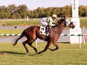 Markakis, Horacio Karamanos up, won today's nightcap at Laurel Park. Photo by Jim McCue, Maryland Jockey Club.