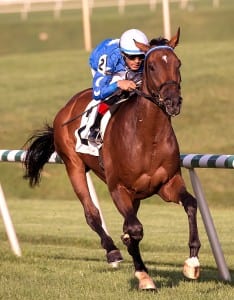 Moon River was much the best in the second division of the Jamestown at Laurel Park. Photo by Jim McCue, Maryland Jockey Club.