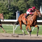 Heritage Stallions adds Seville to stallion roster