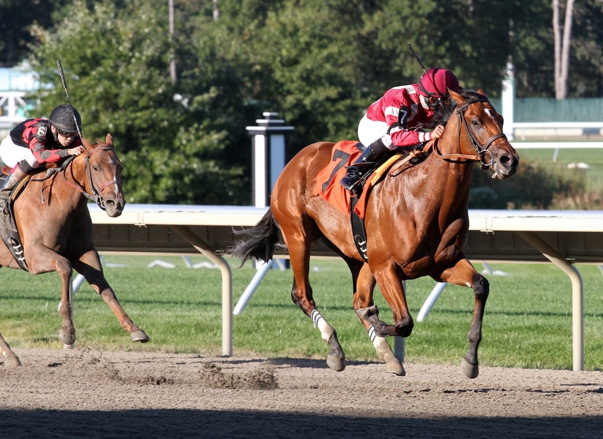 RaceBrief for September 29: Weekend stakes gallery