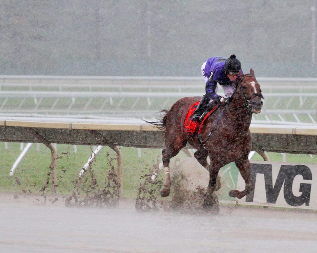 Rainbow Heir wins the NJ Breeders' Handicap at MTH. Trained by Ben Perkins, Jr. for New Farm. Bred in New Jersey by New Farm. Photo By Aubrey Therkelsen/EQUI-PHOTO.