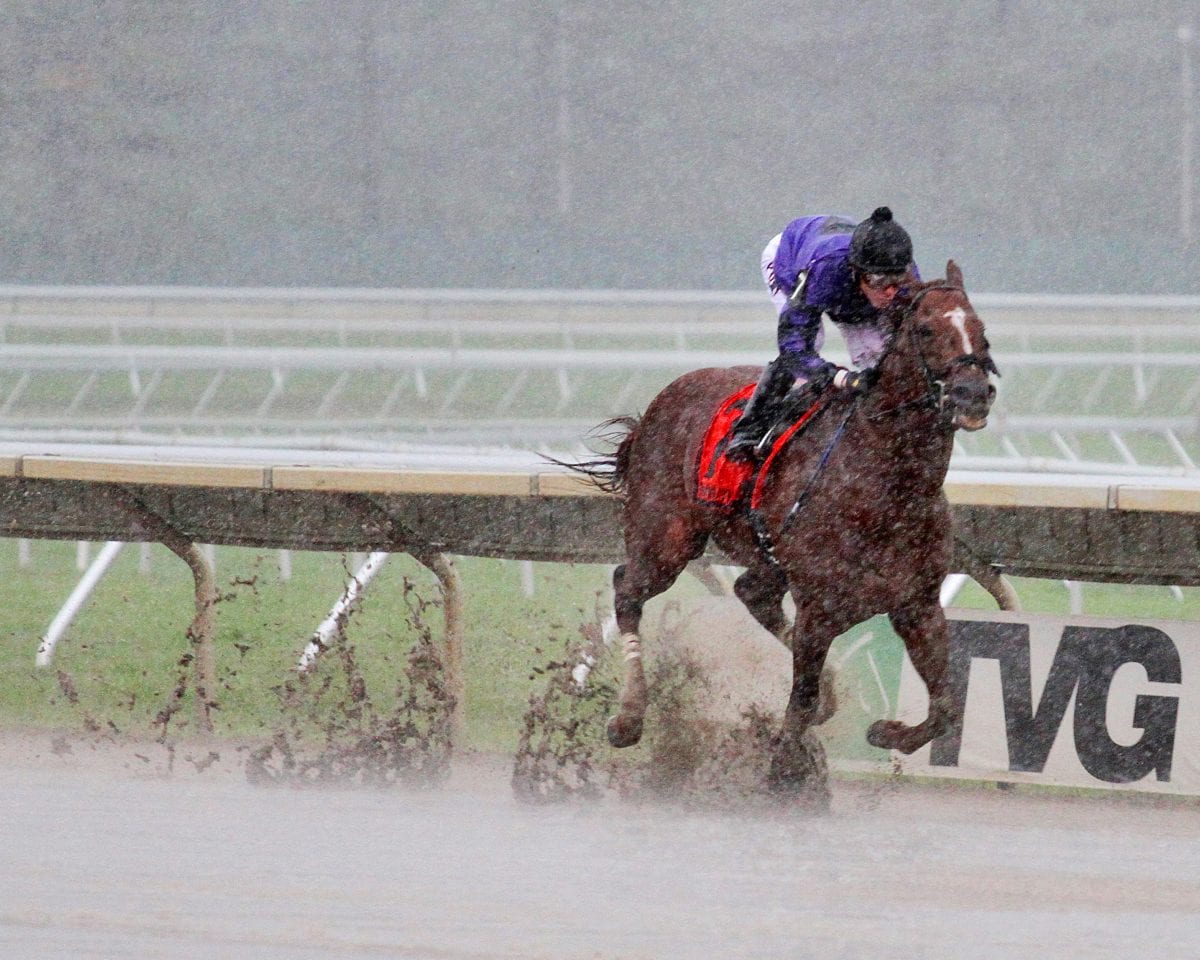 Ben Perkins takes aim at NJ-bred stakes