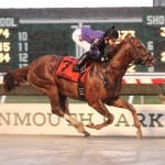 Legendary notches first stake win for Niall Saville