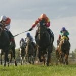 Making a backstretch home for the holidays