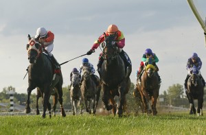 Sharp Sensation upsets the Grade 3 Turf Monster at Parx.  Photo by Bill Denver / EQUI-PHOTO