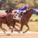 Meadowlands turf meet will start Thursday