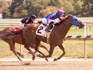 Standup Comic wins the second and pays a whopping $126.20. Photo by Jim McCue, Maryland Jockey Club.