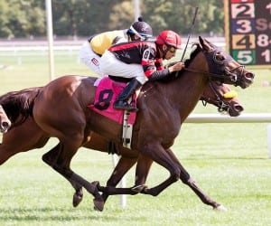 Vielsalm rallies past 'em all to win the All Brandy, for Maryland-breds. Photo by Jim McCue, Maryland Jockey Club.