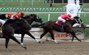 Bern Identity wins the Dave's Friend S. at LRL. Trained by Kelly Breen for George and Lori Hall.  Photo by Laurie Asseo.