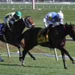Cyclogenisis impresses in Laurel Futurity romp
