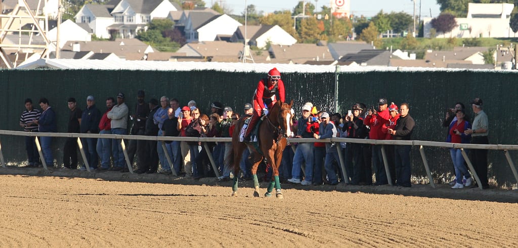 Lined up to see California Chrome at Parx. Photo By Bill Denver/EQUI-PHOTO.