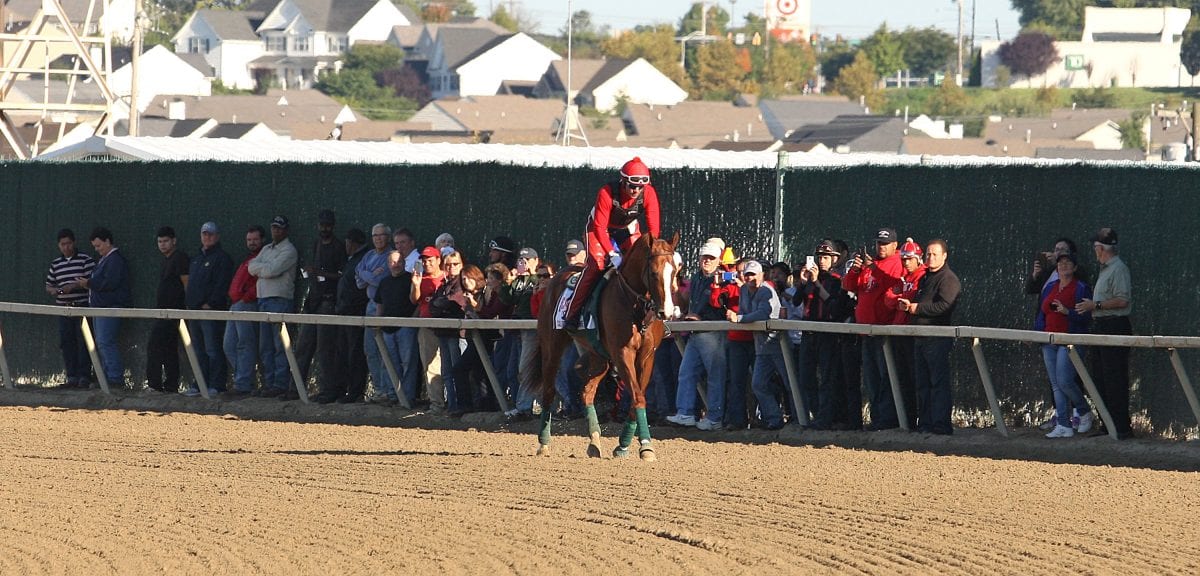 California Chrome takes mile tour of Parx