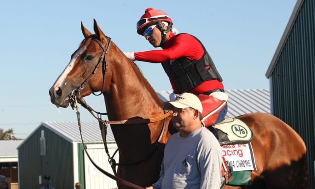 California Chrome leads unchanged NTRA poll