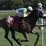 Miss Bullistic powers to flashy Selima win