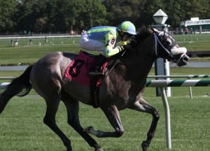 Cyclogenisis, sharp in winning the Laurel Futurity. Photo by Laurie Asseo.