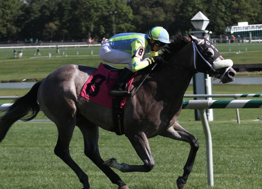 Cyclogenisis impresses in Laurel Futurity romp