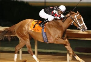 Derwin's Star, winning the 2010 Charles Town Oaks. Photo by Jeff Brammer.