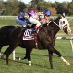QuickTake: Racing gods