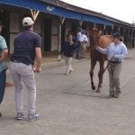 Laurel Park to host Marylandia celebration