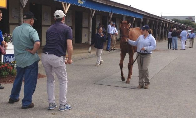 Fasig-Tipton sale: Consignors hope for improved mid-market