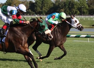 Madame Giry, outside, just holds off Monster Sleeping to win the Jameela. Photo by Laurie Asseo.