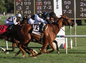 Manchurian High rolled up late to win the Laurel Turf Cup. Photo by Laurie Asseo.