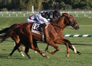 Manchurian High wins the Laurel Turf Cup at Laurel Park. Manchurian High is trained  and ownedby Lilli Kurtinecz. Photo by Laurie Asseo.