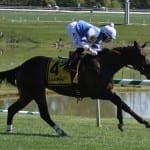 Laurel Futurity odds and analysis