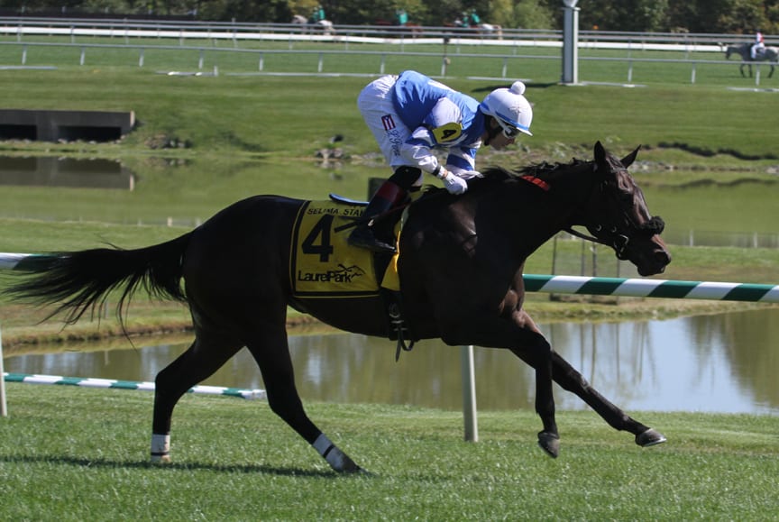 Md. Million, WVBC Wagering Guides available