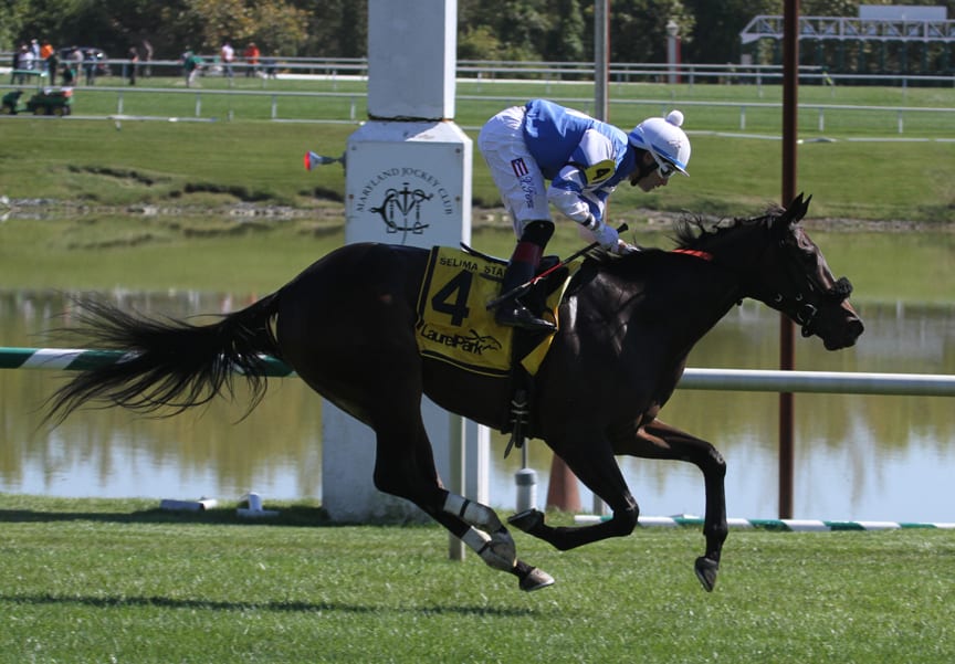 Big fields slated for Laurel Park juvenile stakes