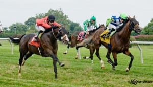 Other Cheek (right) gets pipped at the wire in his last start by Dramedy. Photo by HoofprintsInc.com.